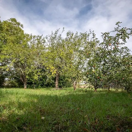 Le Petit Mona Althea Civaux